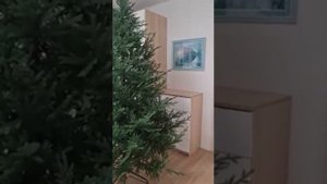 Отзыв на литую елку Лесная Симфония Max Christmas