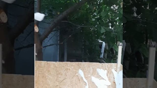 пеноизол в замедленной съёмке смотреть онлайн