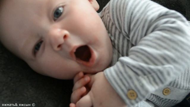 ПЕРВЫЙ ГОД ЖИЗНИ ЗА ПОЛТОРЫ МИНУТЫ смотреть онлайн