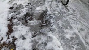 большой ручей весной