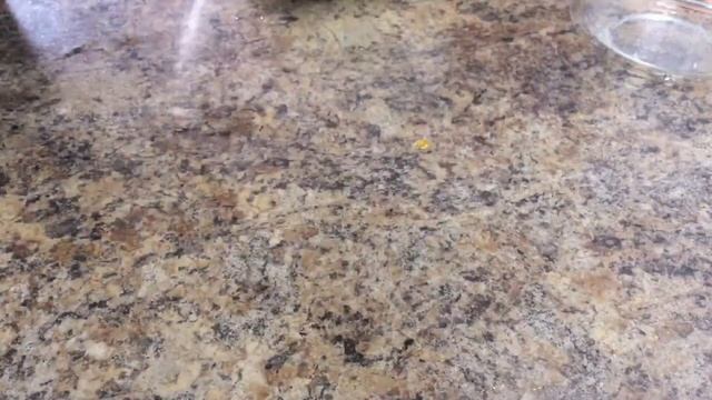 Японский бисквит. смотреть онлайн