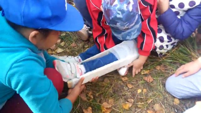 День здоровья БМА ОУ "СОШ № 10" 2018 - 3 "А" смотреть онлайн