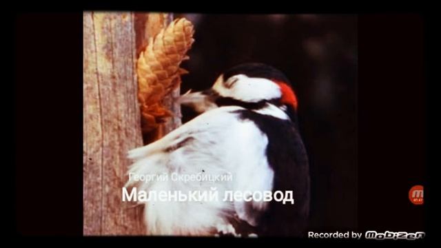 МАЛЕНЬКИЙ ЛЕСОВОД ? рассказ ? аудио ? автор Георгий Скребицкий ?