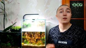 Главные мифы аквариумистики!