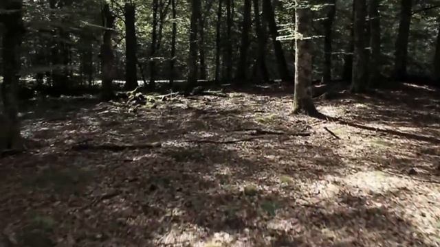 История развития шведской компании Asko смотреть онлайн