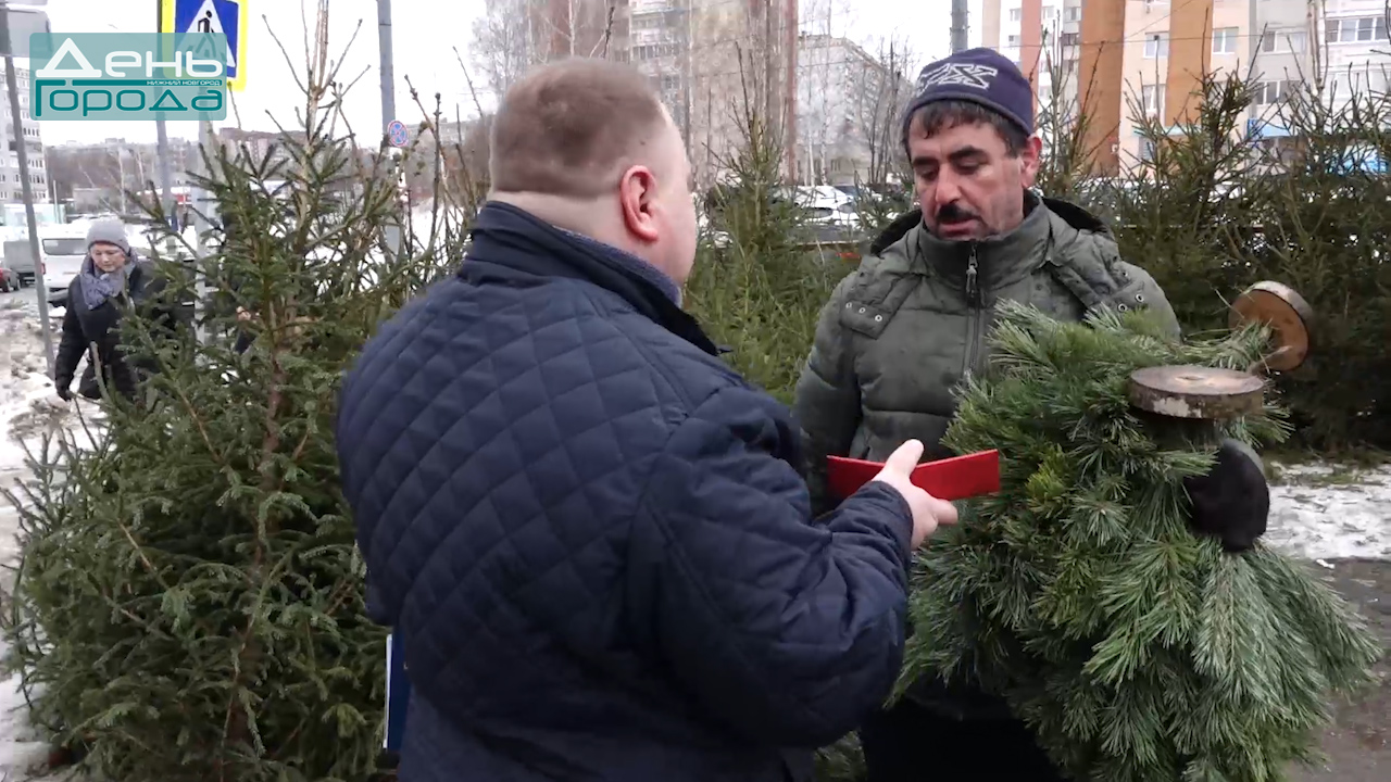 26.12.2022 Незаконная торговля елками