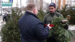 26.12.2022 Незаконная торговля елками