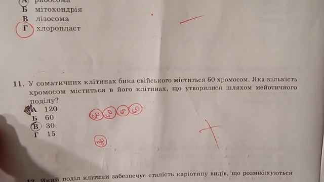 Краткий обзор пробного теста ЗНО по биологии за 2015 год.