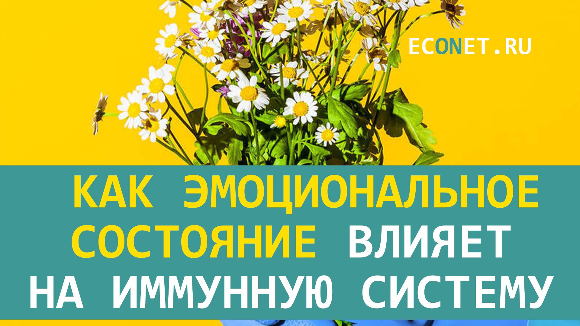 Как эмоциональное состояние влияет на иммунную  систему