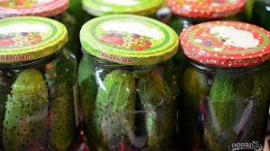 Соленые огурцы Горчичные