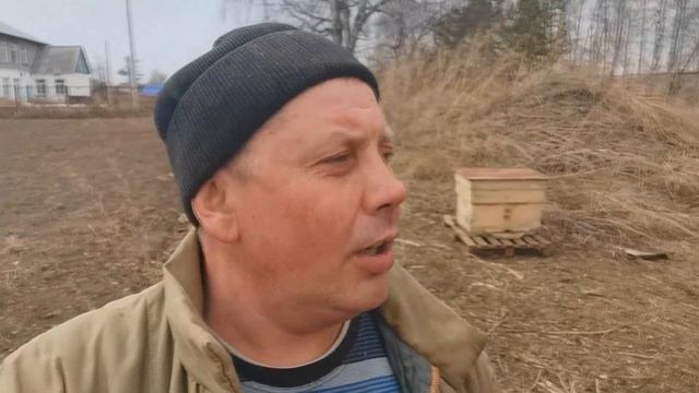 Как завести пчел с нуля?! Где взять пчел?! "Мое Подворье"
