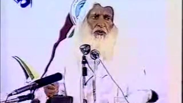 Куьгцани ше дег1 лаъам кхочуш барах лаьцна смотреть онлайн