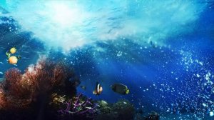 Музыка для снятия стресса и тревоги