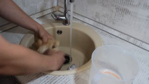 WASTE FIGHTER F-52 Premium compact VS Курица