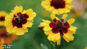 Безумно Красивая музыка Сергей Грищук! Сборник ЛУЧШИХ Мелодий от которых мурашки по телу 2024