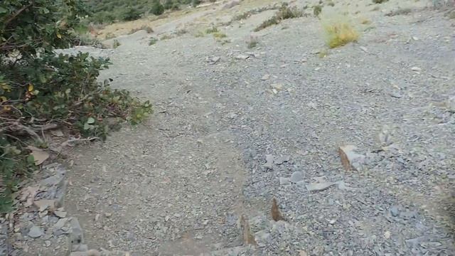 Nikon Coolpix P520 Большой Утриш смотреть онлайн