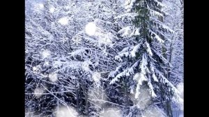 06. Белый снег белёшенький