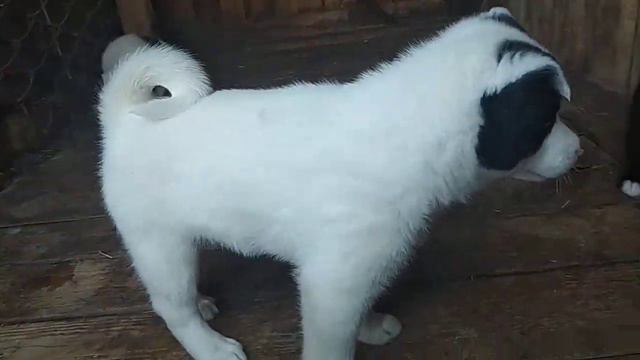 Растём 15 месяца!!!