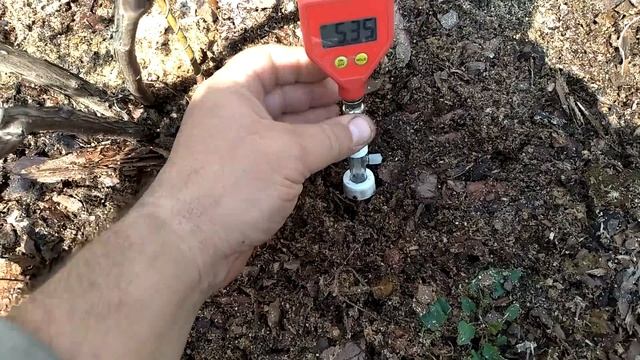 Подкисление голубики. Это нужно знать. смотреть онлайн