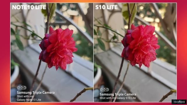 Samsung S10 Lite vs Samsung Note 10 Lite Camera Comparison| Samsung S10 Lite Camera Review смотреть онлайн