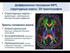 МР-трактография. Лекция Пронина И.Н.