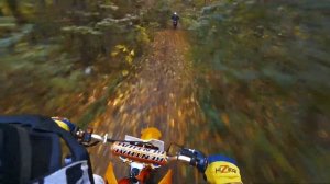 На мотардах в лес | Разложился на тропке! Motoland WRX250 PIT