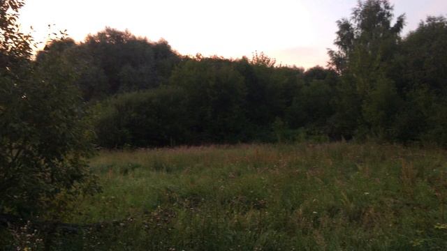 Russia. Moscow Park. Summer Evening and Winter Morning. смотреть онлайн