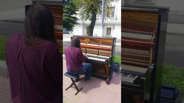 Красивая музыка от уличного музыканта. Киев смотреть онлайн