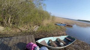 Деревня Наволок 14.05.19