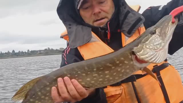 ПОЙМАЛИ ЖИРНЫХ ЩУК! Ловля щуки на джиг. Отличная рыбалка! смотреть онлайн