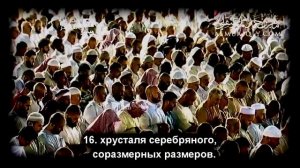 инсан махир аль муакли