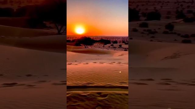 glimpse of Sahara desert