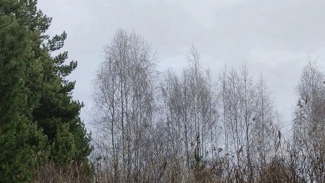 Стрижка ногтей в эти дни декабря привлекут болезни и неприятности.