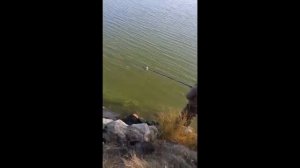 Рыбалка на озере Сунгуль