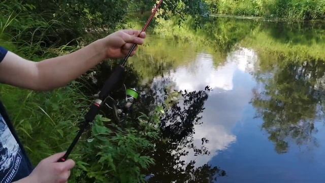 Рыбалка на реке Оредеж! Обучение азам рыбалки на спиннинг! #рыбалка #рыбалканаспиннинг #оредеж
