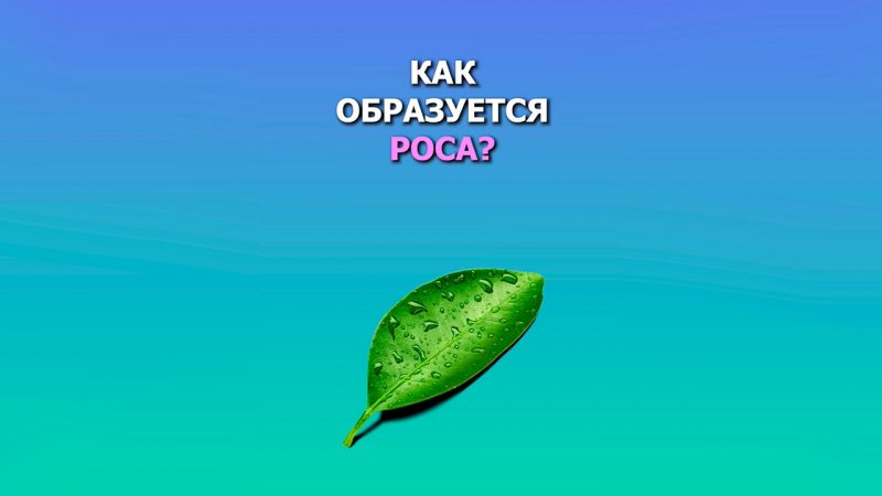 Как образуется роса?