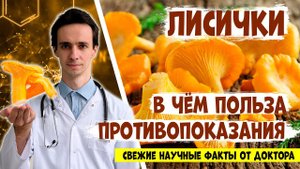 ЛИСИЧКИ: народная медицина и официальные исследования. Свежие научные факты от доктора