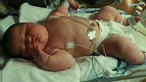 Женщина спешила в РОДДОМ, у неё отошли воды. Врачи ОБОМЛЕЛИ, когда увидели, что в её ЖИВОТЕ…