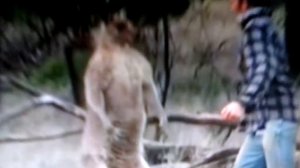 Получил по морде