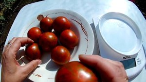 Томат - Sarandipity (Сарандипити)