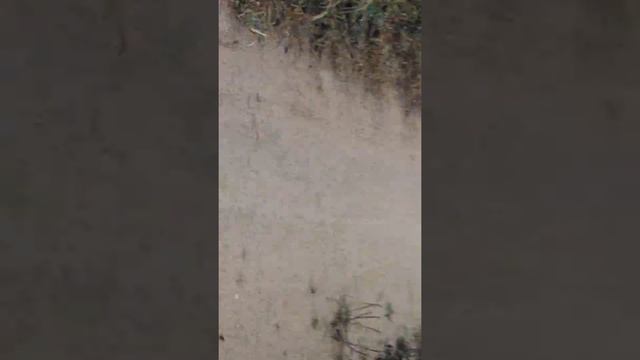 Дрифт на велике за 500 рублей часть 1 смотреть онлайн