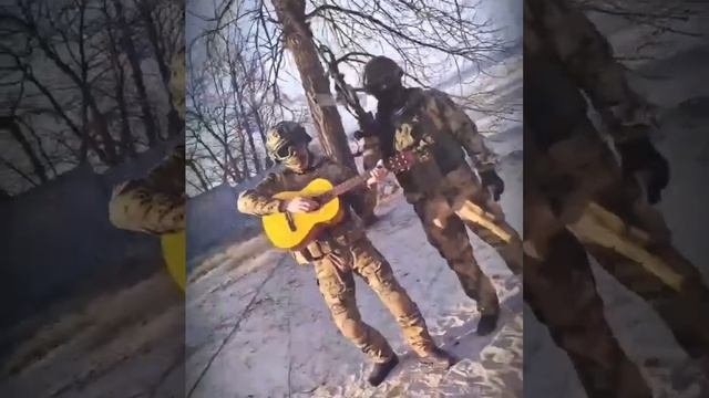 Музыканты