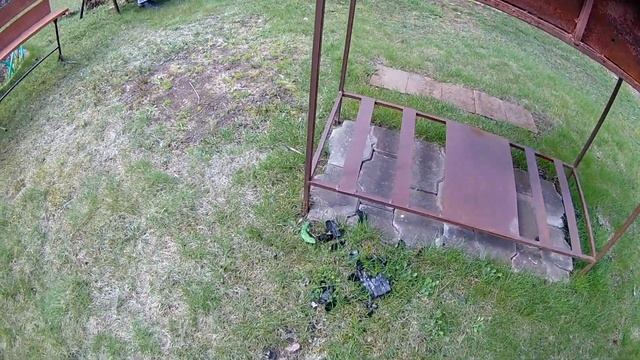 Ящерица без хвоста смотреть онлайн