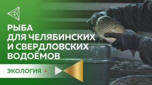 144 тысячи мальков для уральских водоёмов