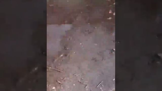 Как правильно пить пиво? смотреть онлайн