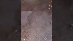 Как правильно пить пиво?