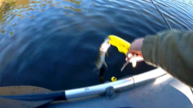 Ловля щуки на спиннинг на озерах Воронежской области в сентябре, воблеры рулят... смотреть онлайн