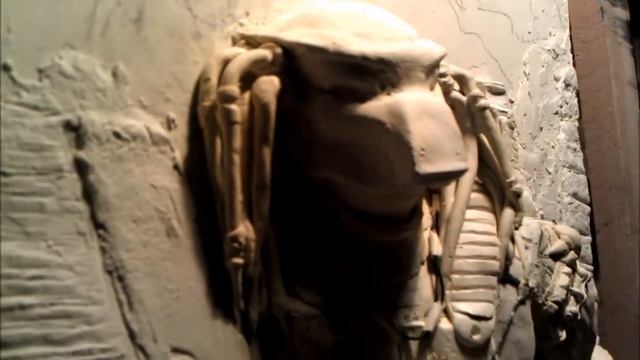 Барельеф на стене, мастер-класс " Хищник" Bas relief  ( Predator  )