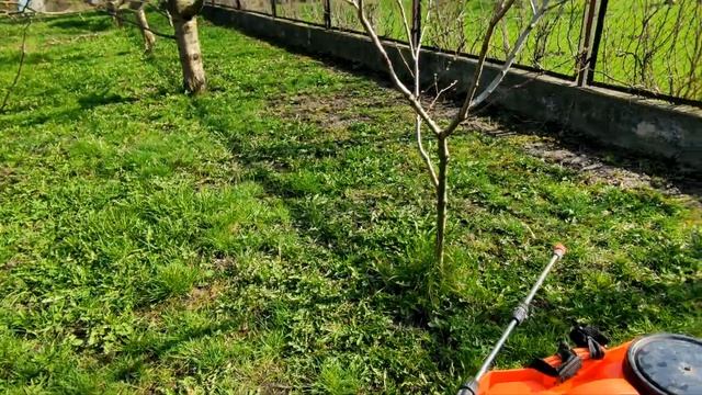 ВЕСЕННЯЯ ОБРАБОТКА КОСТОЧКОВЫХ КУЛЬТУР ОТ БОЛЕЗНЕЙ. ХОРУС + СКОР смотреть онлайн