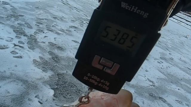 ФЛАЖКИ ГОРЯТ! ЛЕСКА ТРЕЩИТ ОТ ЩУК! ЖЕРЛИЦЫ ПО ПЕРВОМУ ЛЬДУ! смотреть онлайн